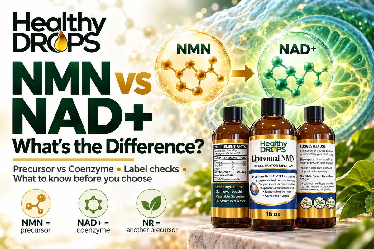NMN vs NAD+ What's the Difference and Which Should You Take
